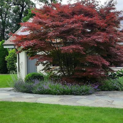 Green-Art-jardin bien entretenu