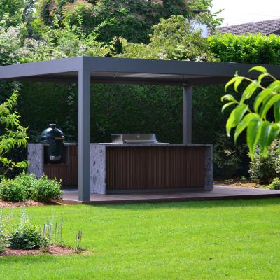 Green Art-Terrasse avec cuisine intégrée