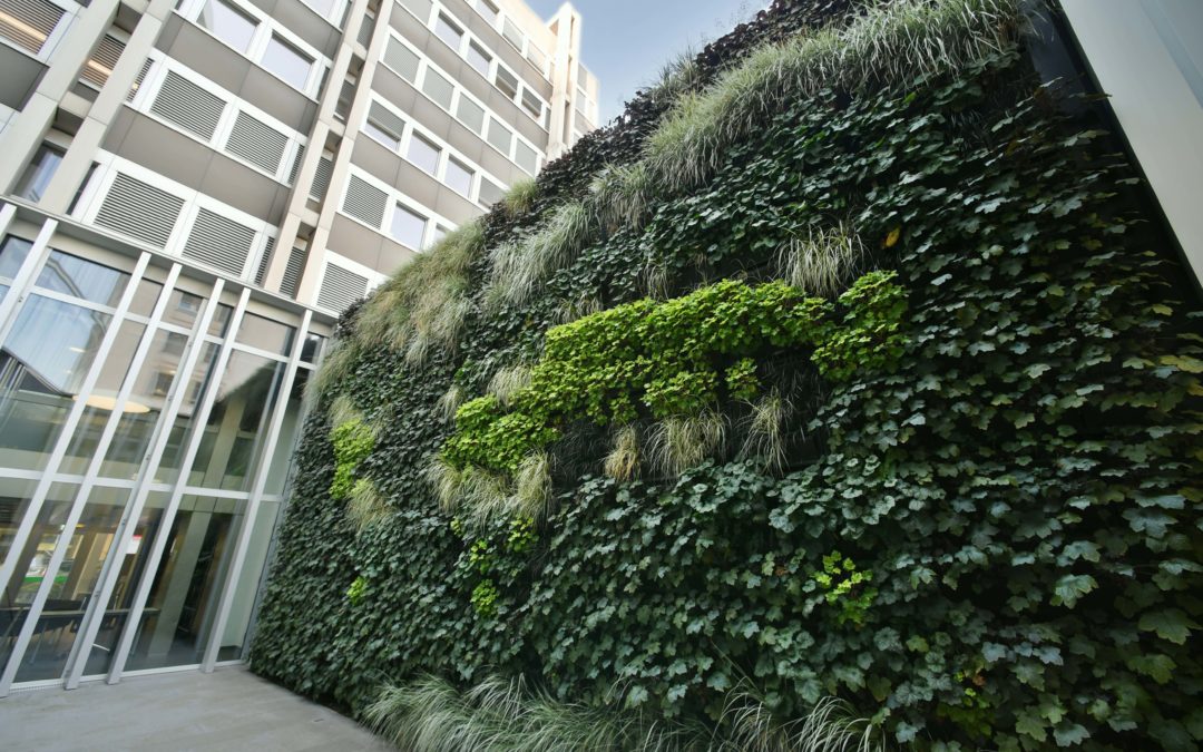 Mur végétalisé de l’ONU – une intégration végétale d’envergure